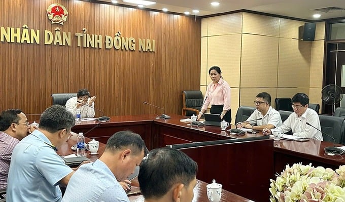 Bà Võ Thị Ngọc Lắm – Phó Giám đốc Sở Y tế, Phó Trưởng Ban Thường trực Ban Chỉ đạo bảo đảm ATTP tỉnh Đồng Nai phát biểu tại hội nghị (Ảnh: Thảo Hồ)