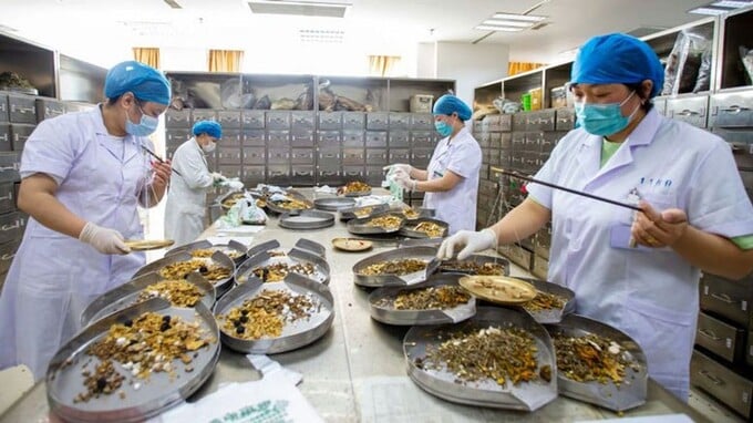 Thuốc cổ truyền không kê đơn phải bảo đảm an toàn cho người sử dụng, bảo đảm việc tiếp cận thuốc cổ truyền kịp thời cho người dân...