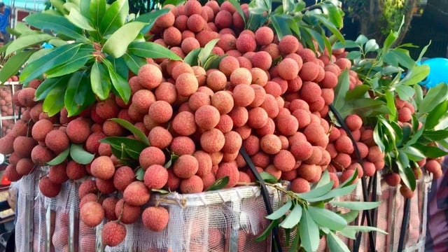 vai-thieu