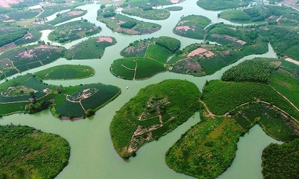 'Ốc đảo' chè xanh đẹp mê hồn giữa miền Tây xứ Nghệ