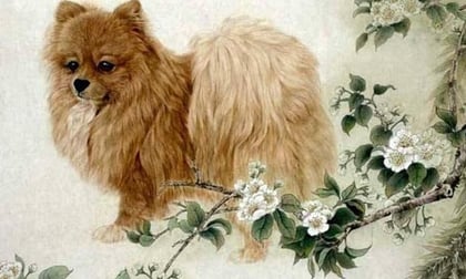 Chúc mừng 4 con giáp cuối tháng 8 hết khổ, tháng 9 gặp may, tháng 10 giàu sụ