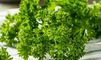 Loại rau thường dùng để trang trí món ăn hóa ra là ‘thuốc’ bổ thận, ngừa ung thư: Ít người biết để ăn
