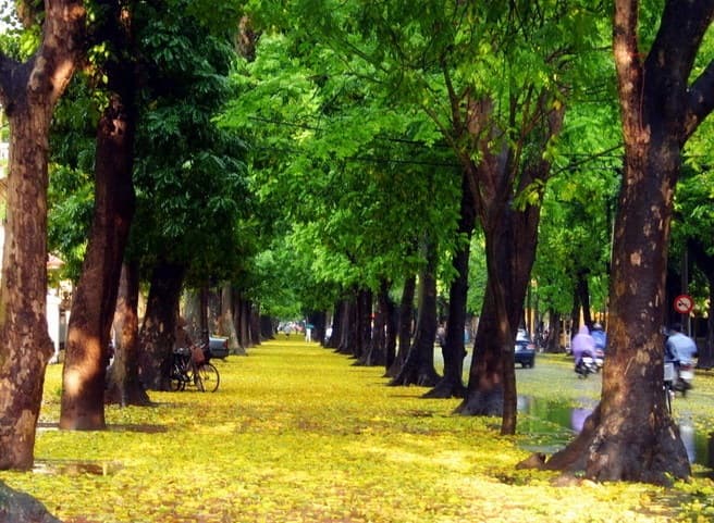 du lịch hà nội 6